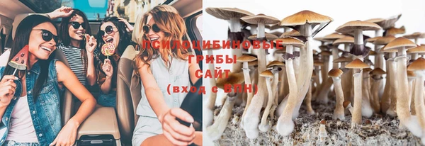 MESCALINE Вяземский