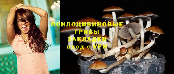 MESCALINE Вяземский
