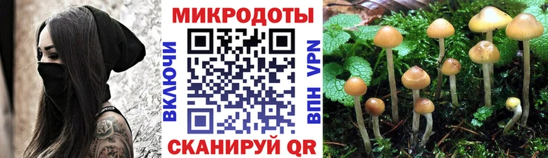 Псилоцибиновые грибы прущие грибы купить ОМГ ОМГ Коломна