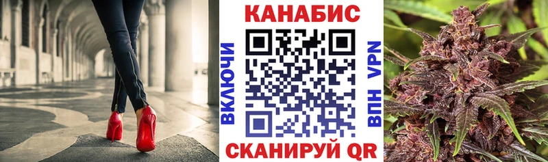 наркота  Коломна  Каннабис сатива 